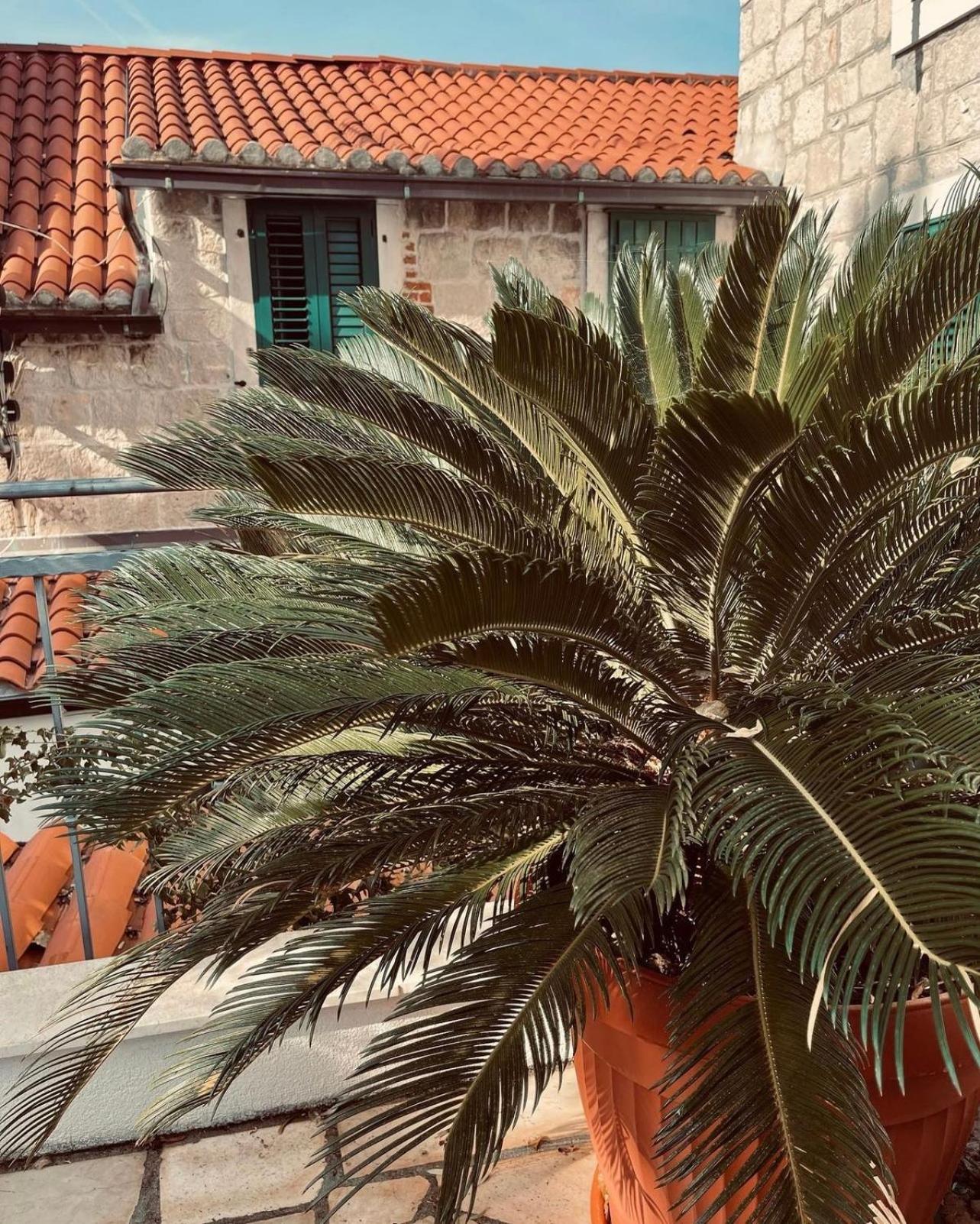 Villa Saint Lucas Σπλιτ Εξωτερικό φωτογραφία
